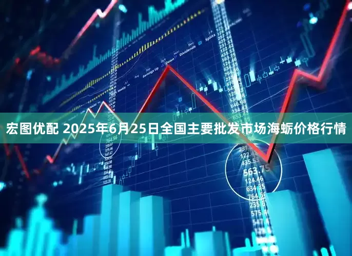 宏图优配 2025年6月25日全国主要批发市场海蛎价格行情