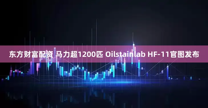 东方财富配资 马力超1200匹 Oilstainlab HF-11官图发布